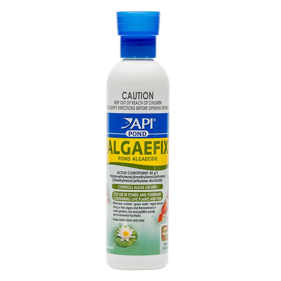 API Pond Algaefix 237ml - Algae Control