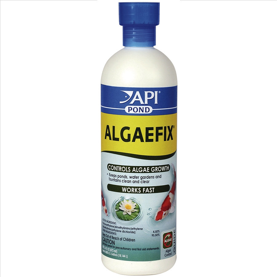 A bottle of API Pond Algaefix for algae control in freshwater ponds. The product is labeled for safe use with live plants and fish.