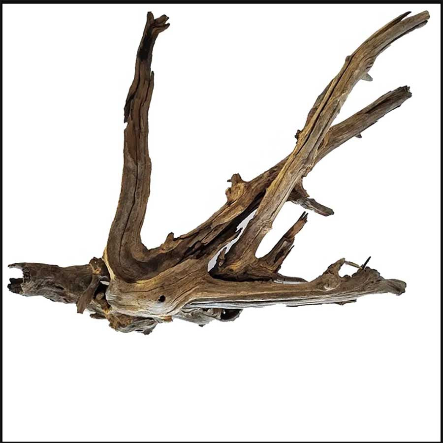 Aqua Natural Amazon XXL-Large Driftwood Around 80cm - In Store Pick Up Only