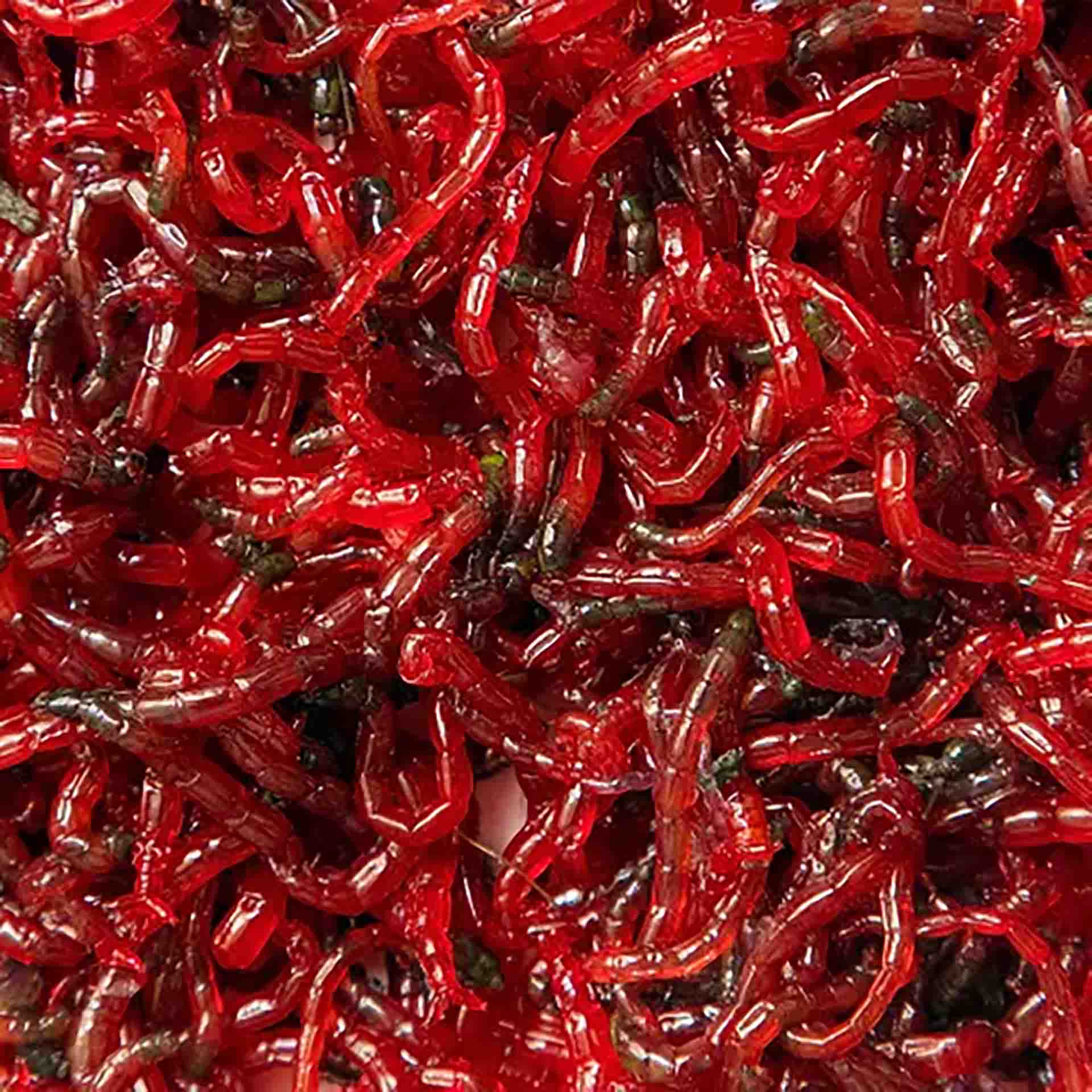 Frozen Bloodworms Live Bloodworms For Fish Aqua Natural Freeze