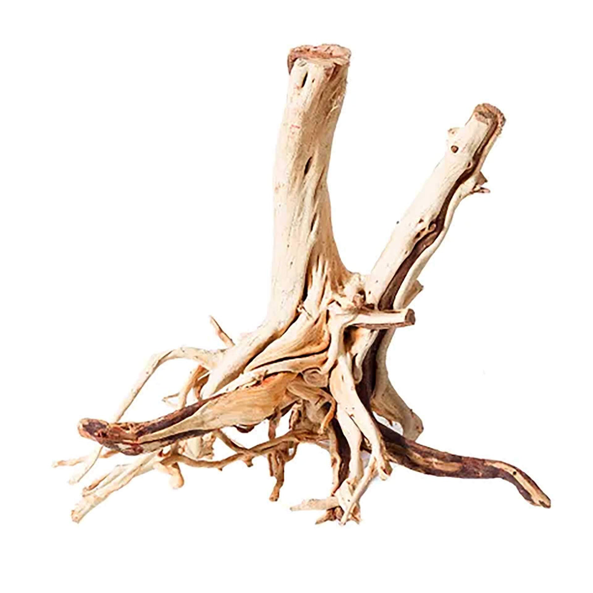 Aqua Natural Red Moore Driftwood Large 50cm - Instore Pick Up Only