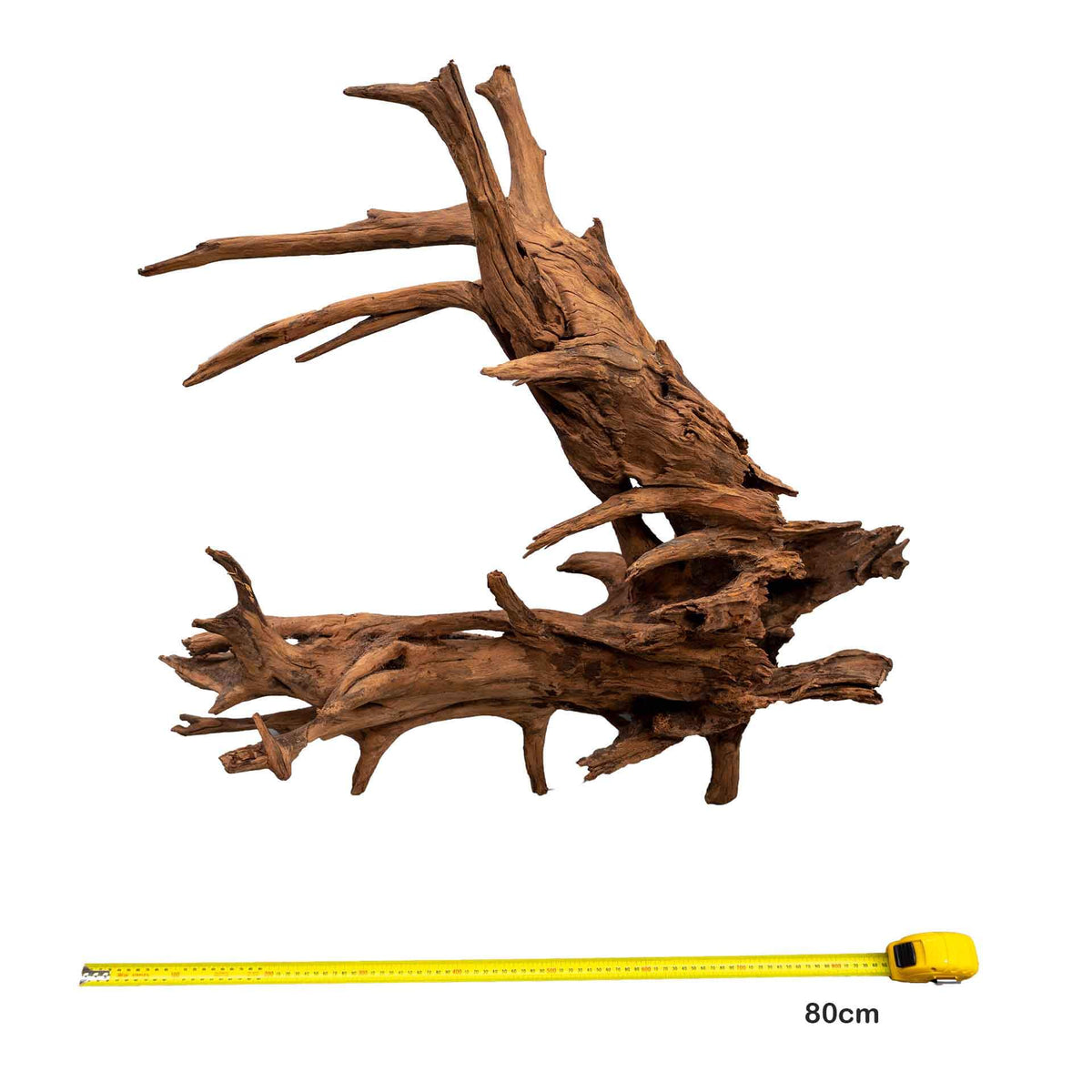 Aqua Natural Wizard Driftwood Jumbo 80cm - Instore Pick Up Only