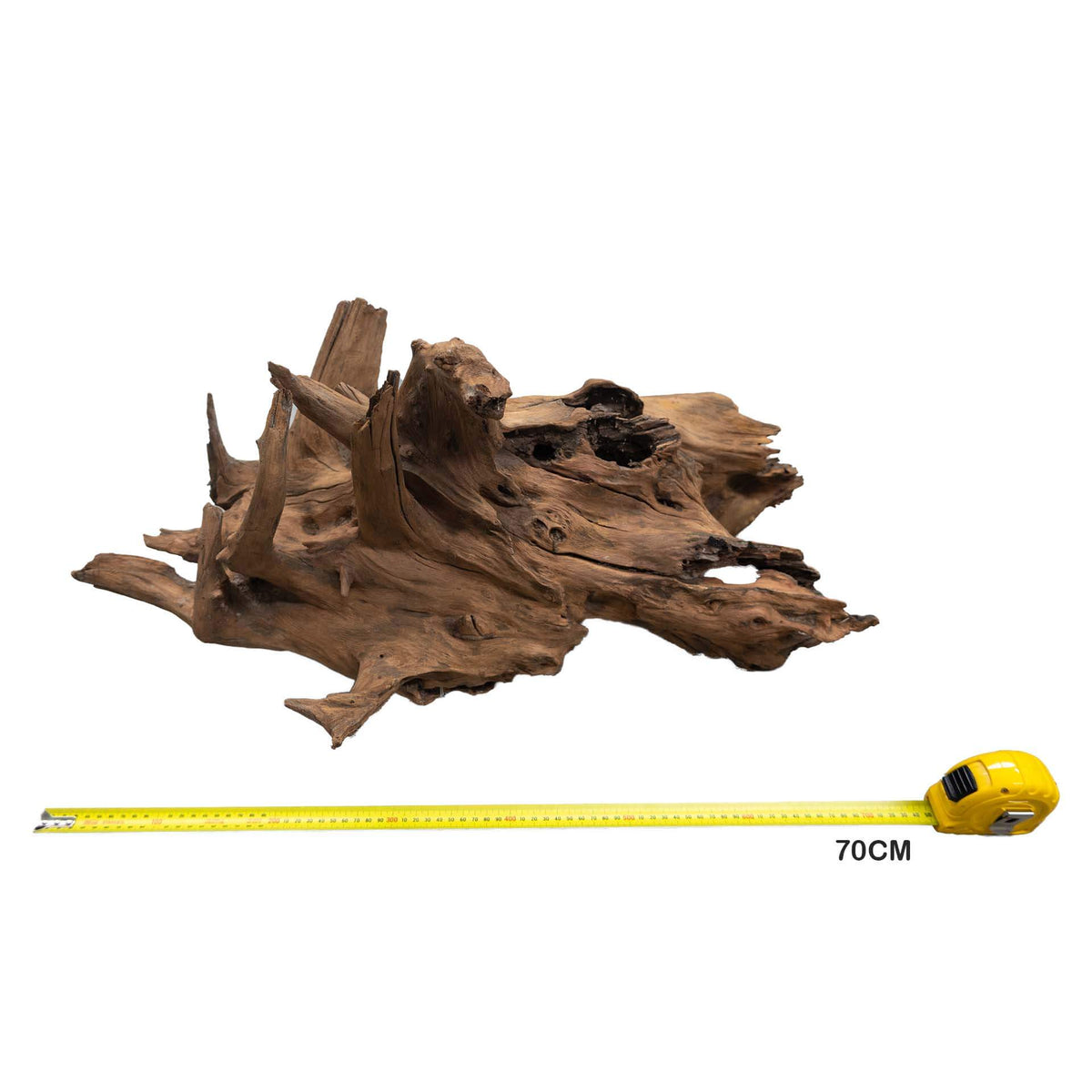 Aqua Natural Wizard Driftwood XXL 70cm - Instore Pick Up Only