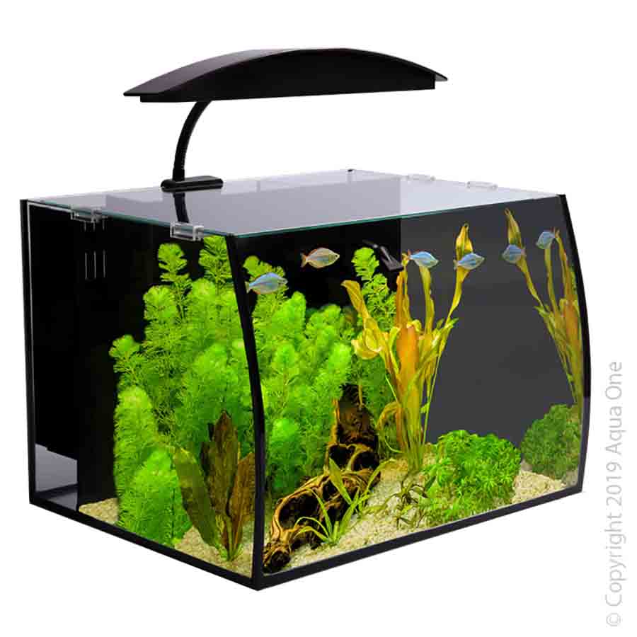 Aqua One Arc 30 Glass Aquarium 30Litres - 40L X 32.5D X 28cm H