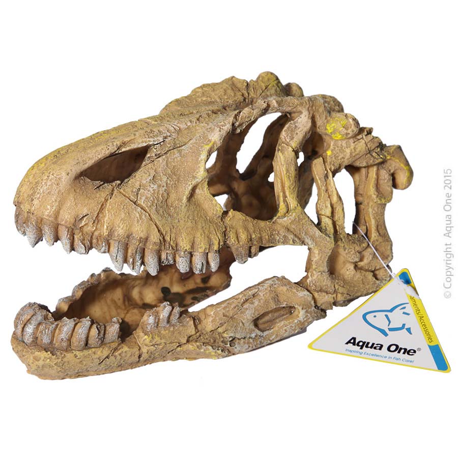 Aqua One Dinosaur Skull Ornament - 23.4x10.5x13.5cm