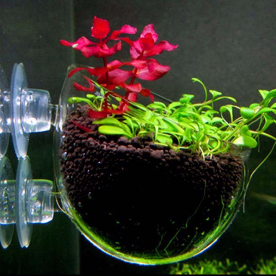 Betapet Glass Polka Plant Pot