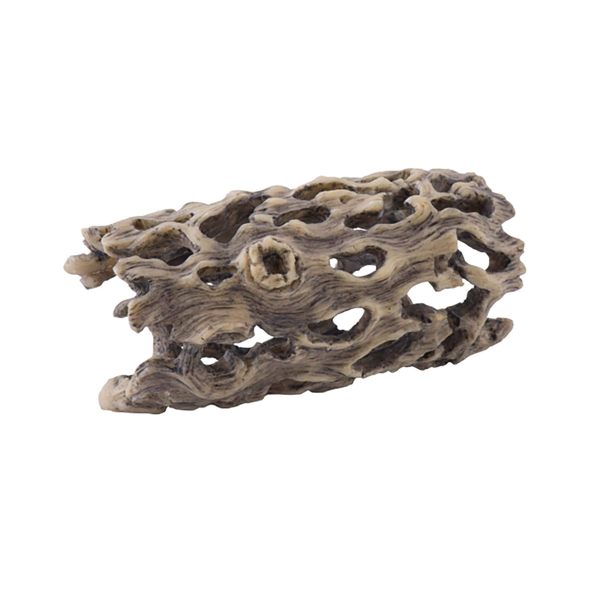 Exo Terra Cholla Cactus Skeleton Small