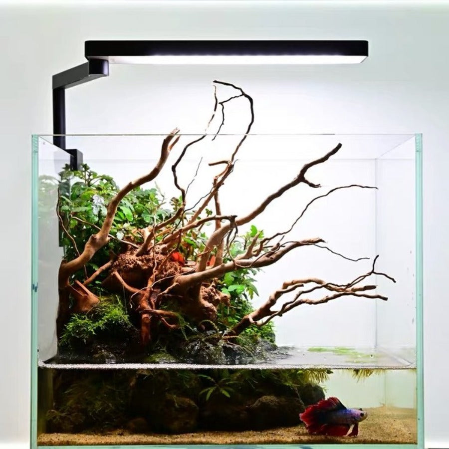 Chihiros C II Led Light with Bluetooth Controller - 20-36cm Aquarium (White)
