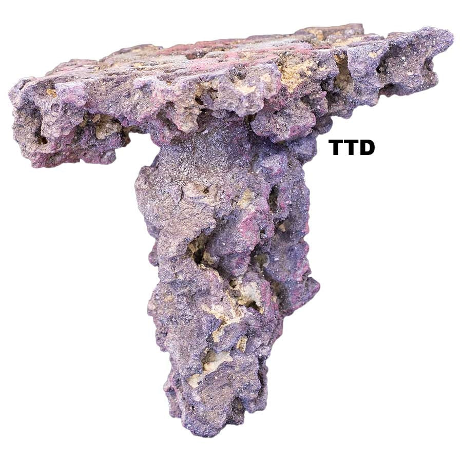 Carib Sea Shroom Life Rock - Sold per Piece - In Store Pick Up Only