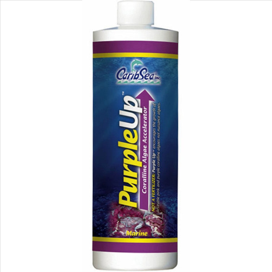 Carib Sea Purple Up 473ml