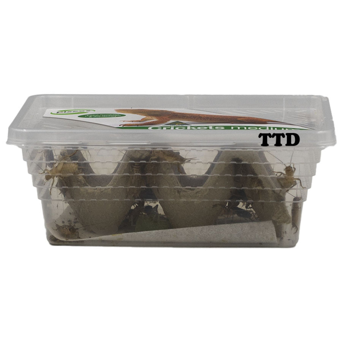 Pisces Crickets - Medium - Live Food - In Store Pick Up Only