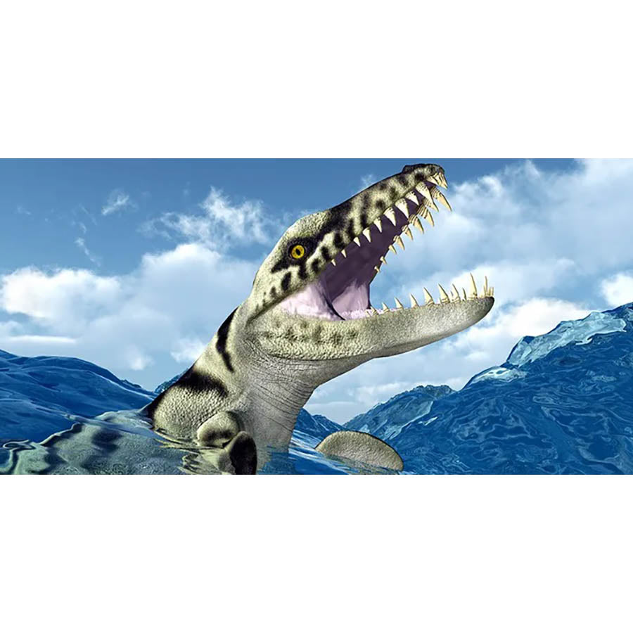 Dakosaurus - High Gloss Picture Background - (60,90,120cm wide options) - CLEARANCE