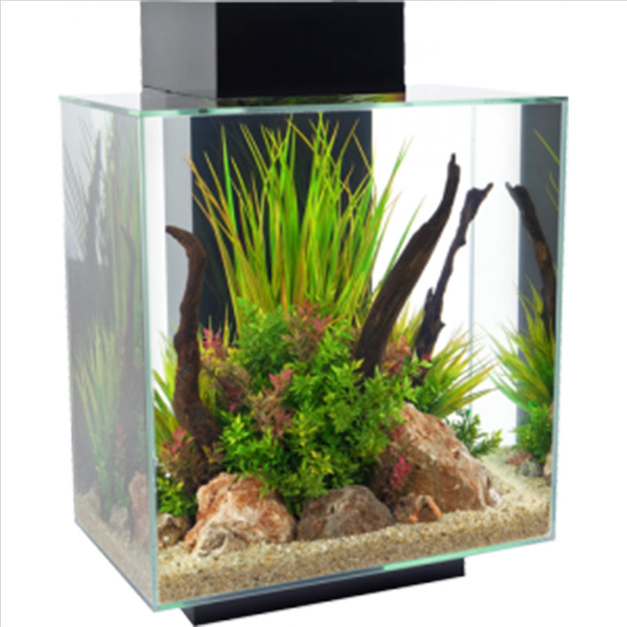 Fluval Edge 46l (New 2.0 Model) Gloss Black Aquarium  All in One