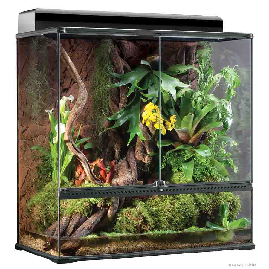 Exo Terra All Glass Extra Tall Terrarium - 90 x 45 x 90cm - PT2609 - Special Order Item