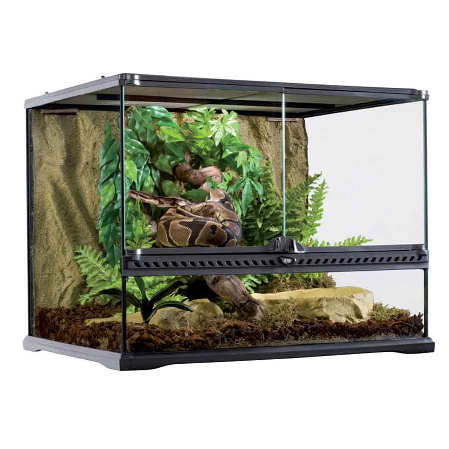 20 Gallon Exo Terra Snake Kit Reptile Background 20 Gallon Exo