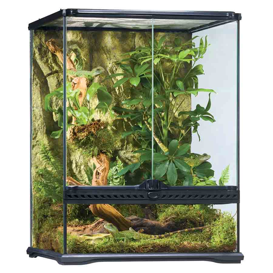 Exo Terra All Glass Small Tall Terrarium - 45 x 45 x 60cm - PT2607