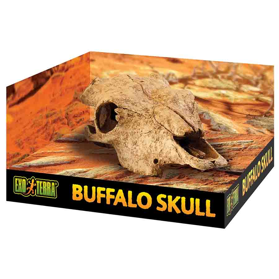 Exo Terra Buffalo Skull Medium - PT2857