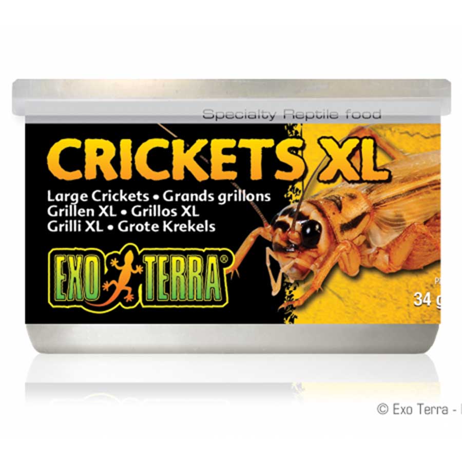 Exo Terra Crickets Extra Large 34gm 1.2 oz