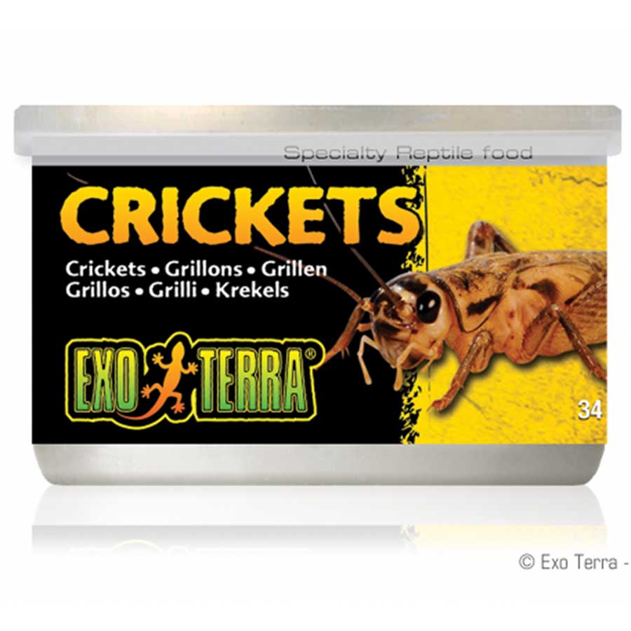 Exo Terra Crickets Small 34gm 1.2 oz