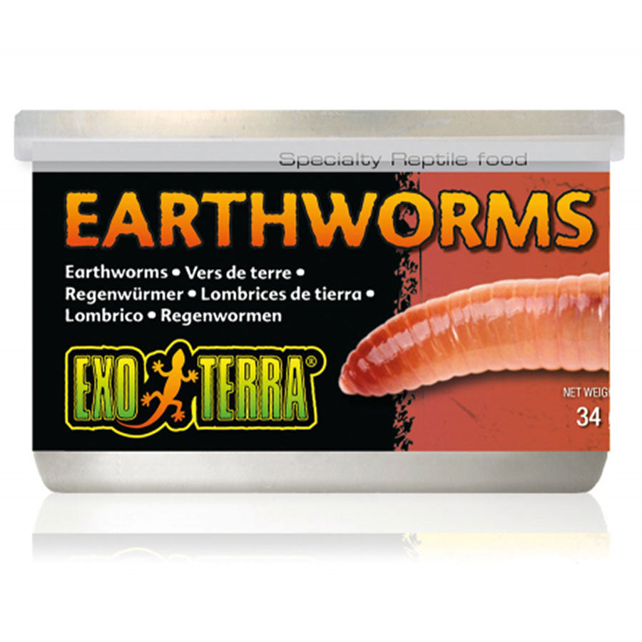 Exo Terra Earthworms Canned 34gm 1.2 oz