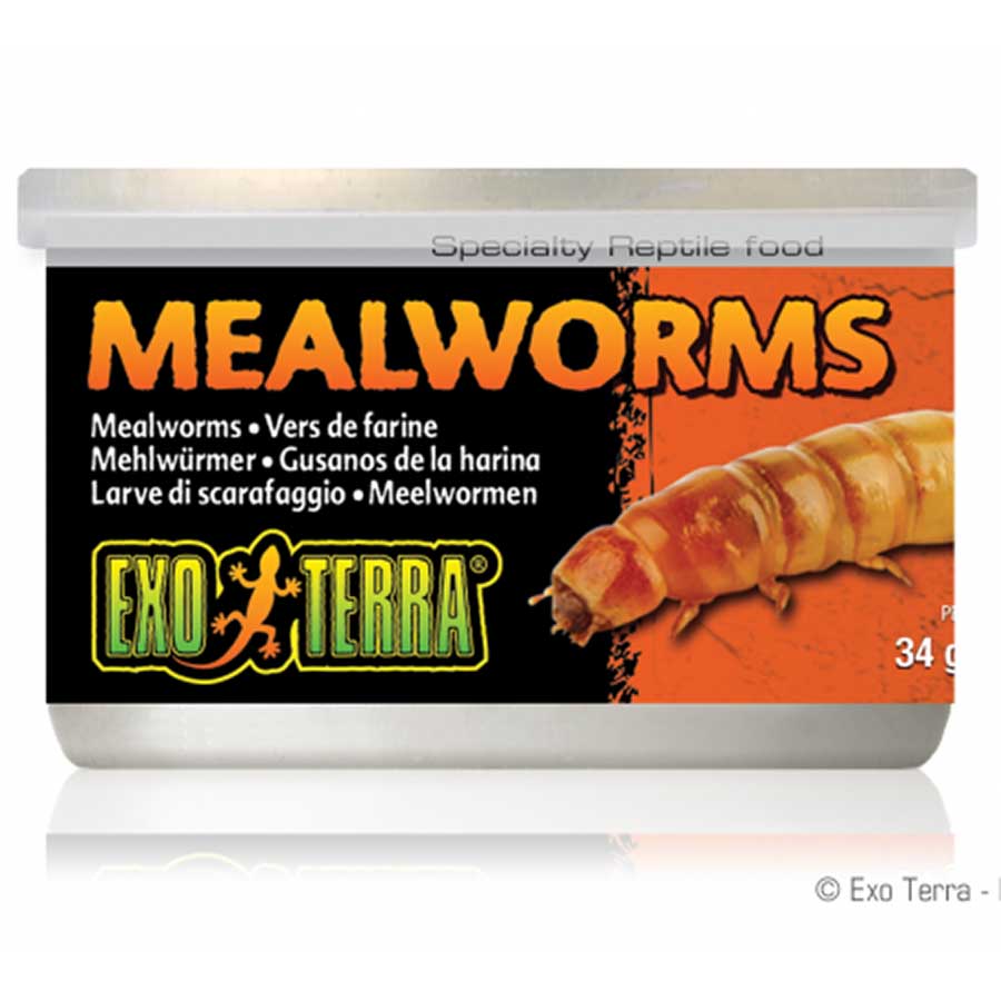 Exo Terra Mealworms 34gm