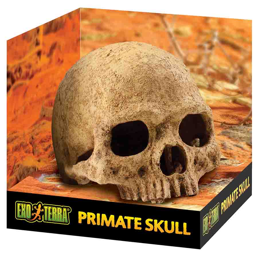 Exo Terra Primate Skull Large - PT2855