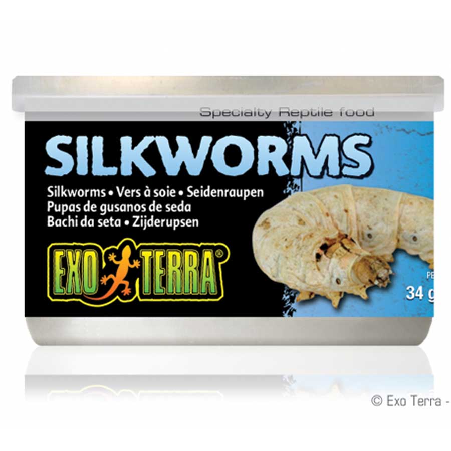 Exo Terra Wild Silkworms Medium 34gm