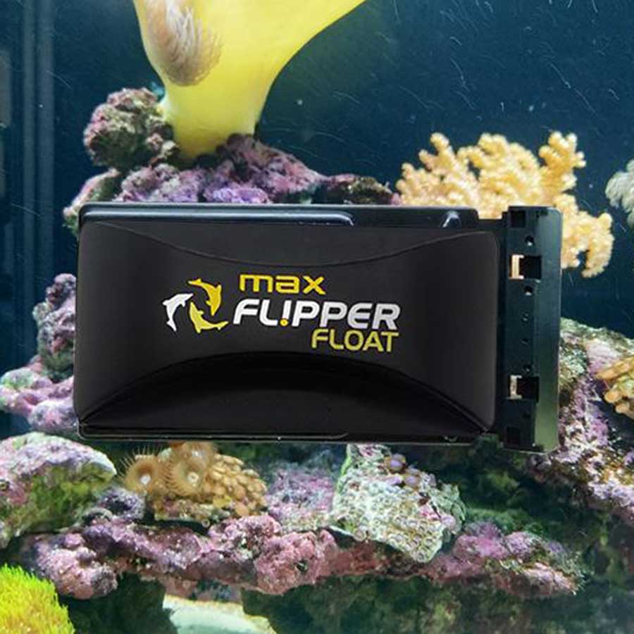 Flipper Cleaner Max - Up to 19mm Algae Cleaner