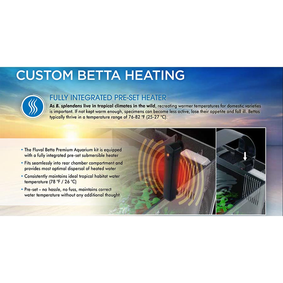 Betta electrical hot water system online