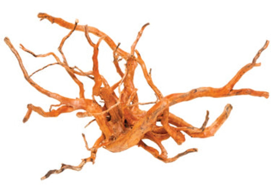 Aqua Natural Gold Vine Large 40cm - in store pick up only