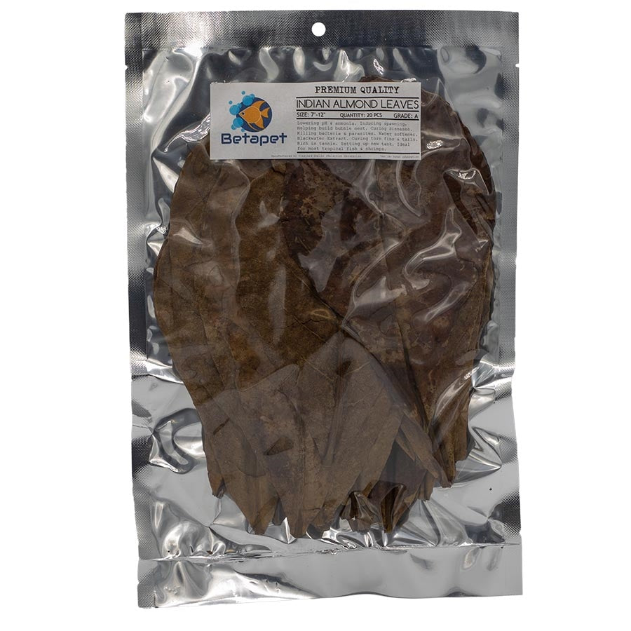 Betapet 20 Medium Indian Almond Leaves- A Grade 17cm - 30cm IAL