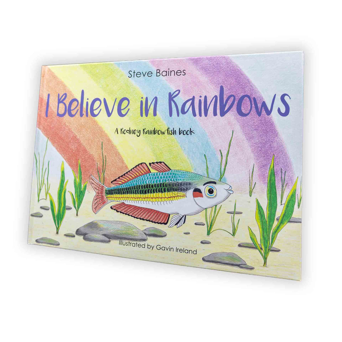 I Believe in Rainbows by Steve Baines