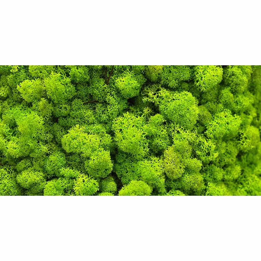 Moss Wall - High Gloss Picture Background - (60,90,120cm wide options)