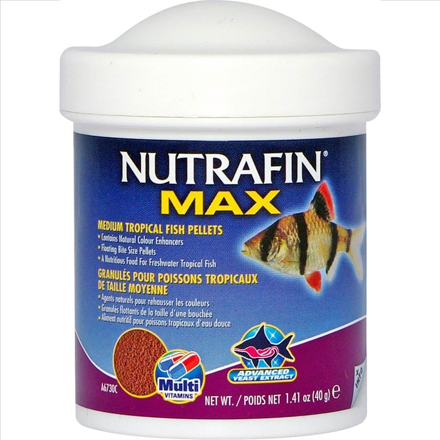 Nutrafin Max Medium Tropical Fish Pellets 40g Floating