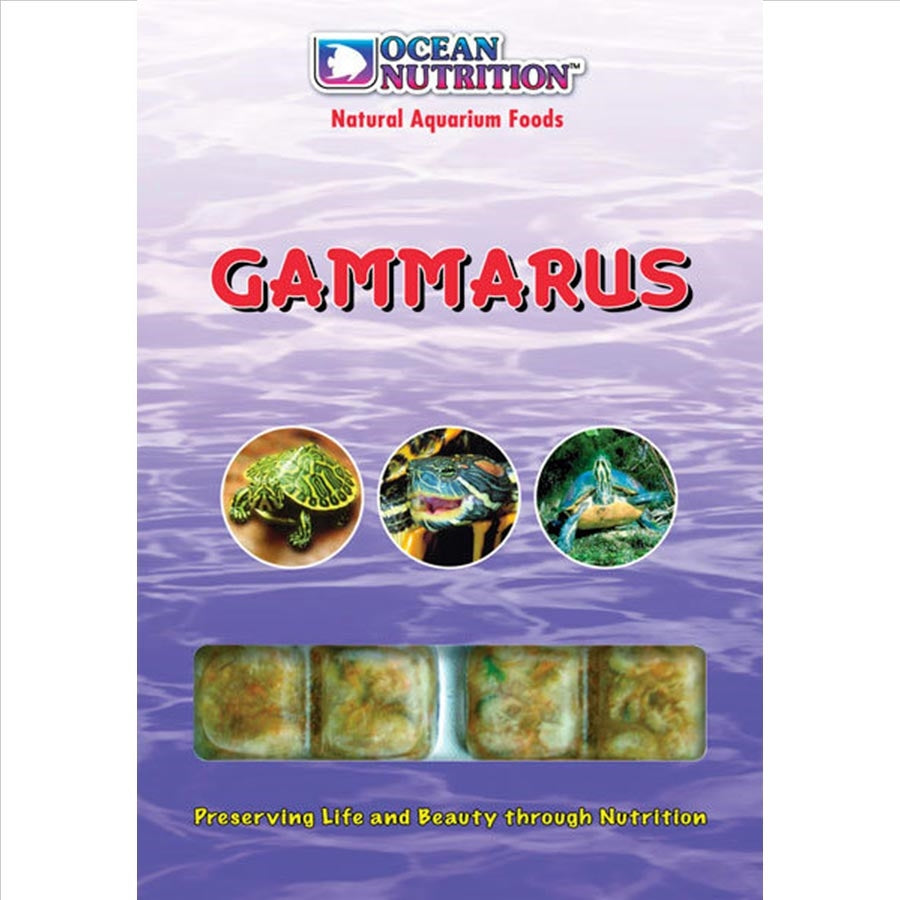 Ocean Nutrition Frozen Gammarus - In Store Pick up only!