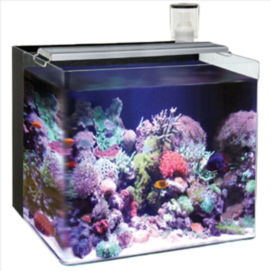 Do I Need a Protein Skimmer for a Nano Reef Aquarium - Shrimp and Snail  Breeder