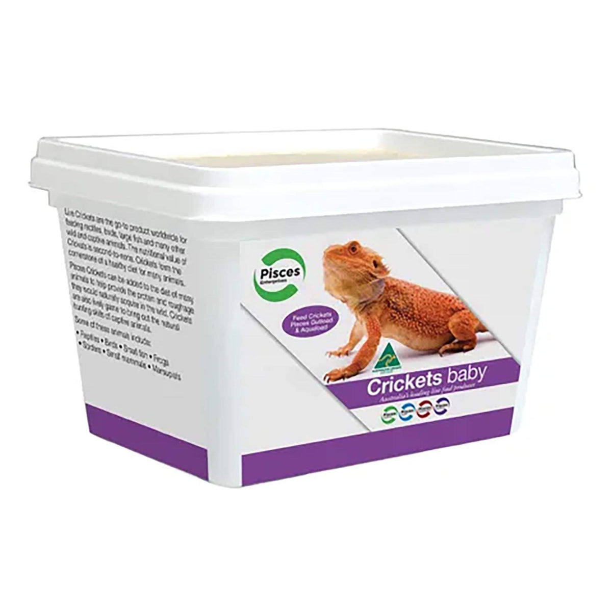 Pisces Crickets - Baby - Live Food - In Store Pick Up Only