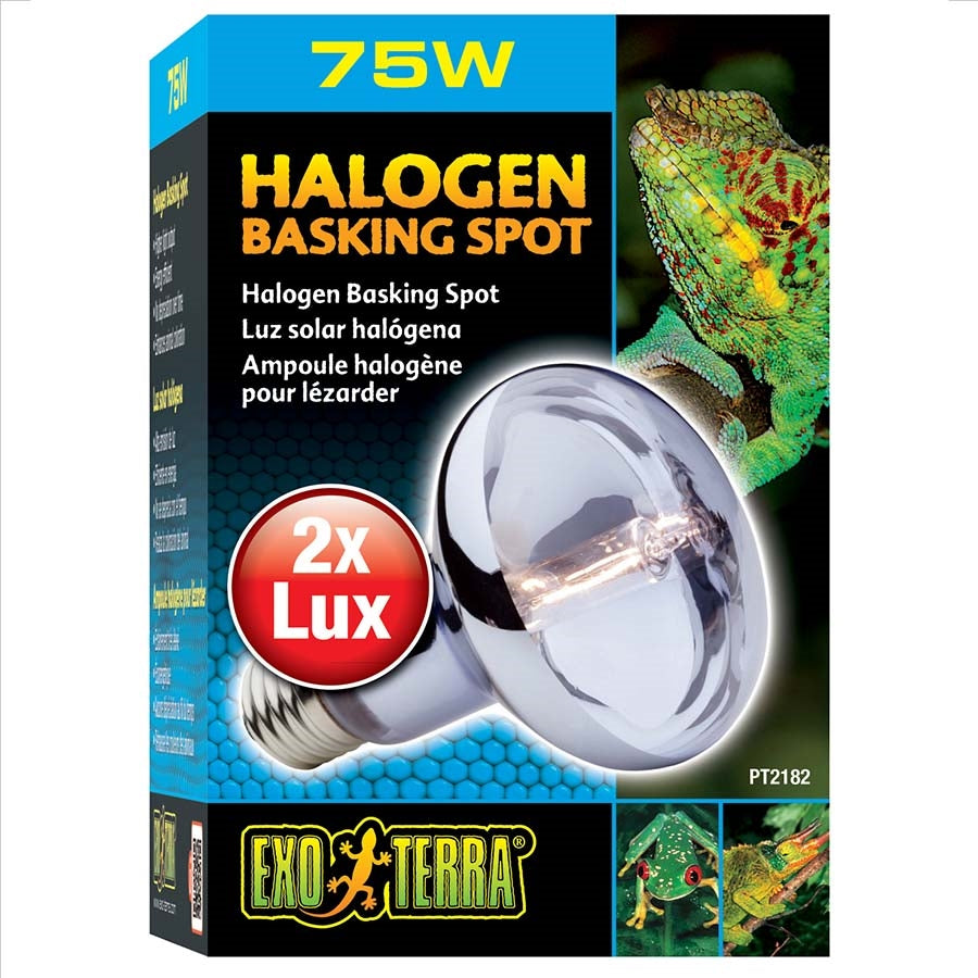 Exo Terra Halogen Basking Spot Lamp - 75 Watt