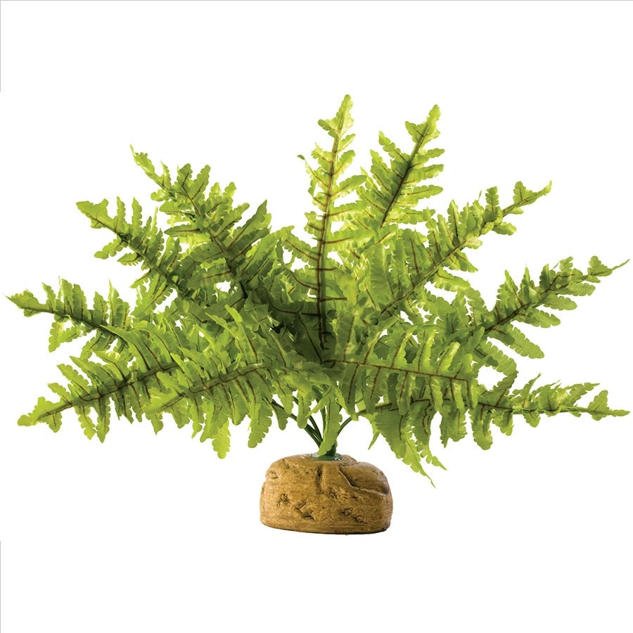 Exo Terra Boston Fern Small Artificial Plant 25cm Wide