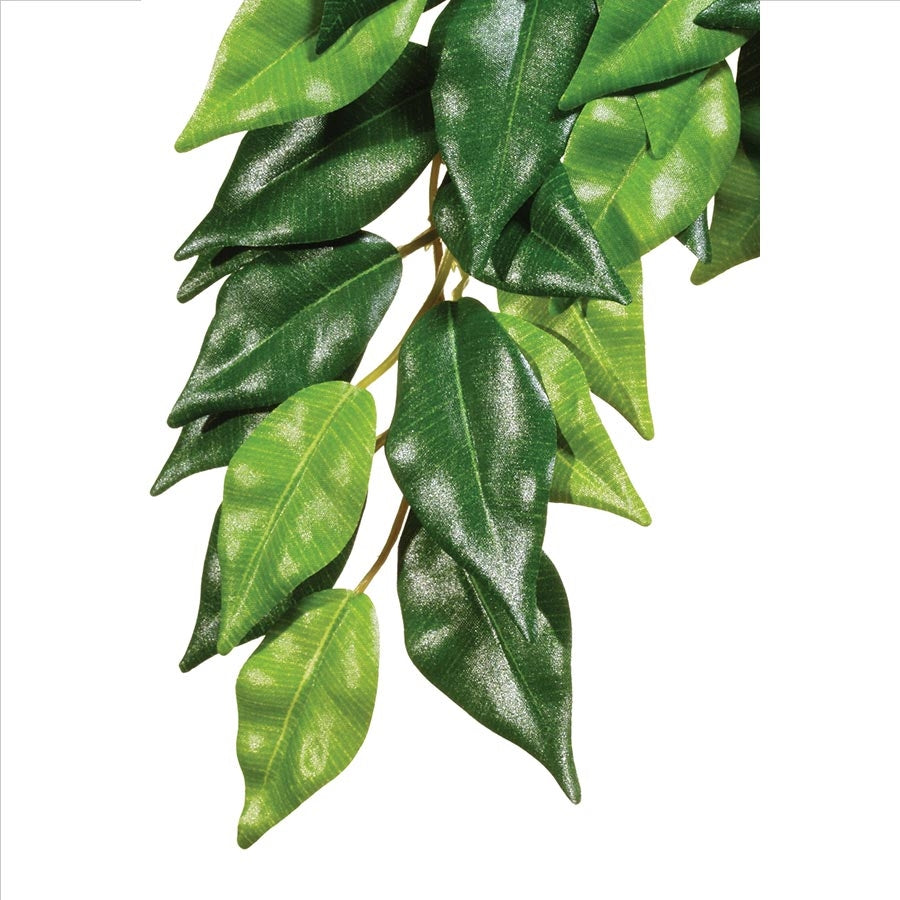 Exo Terra Forest Plant - Ficus - Small Artificial Plant