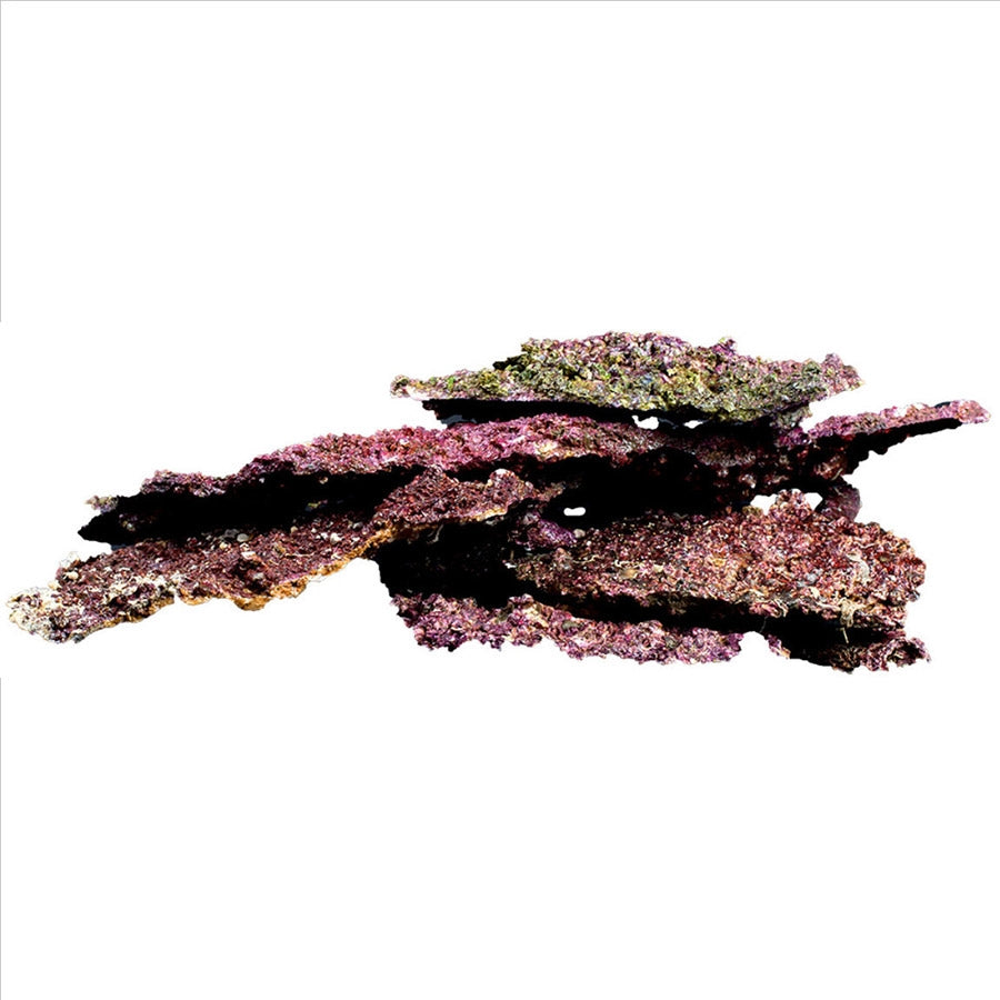 Real Reef Shelf Rock (Price Per 100g) Pick up in store only