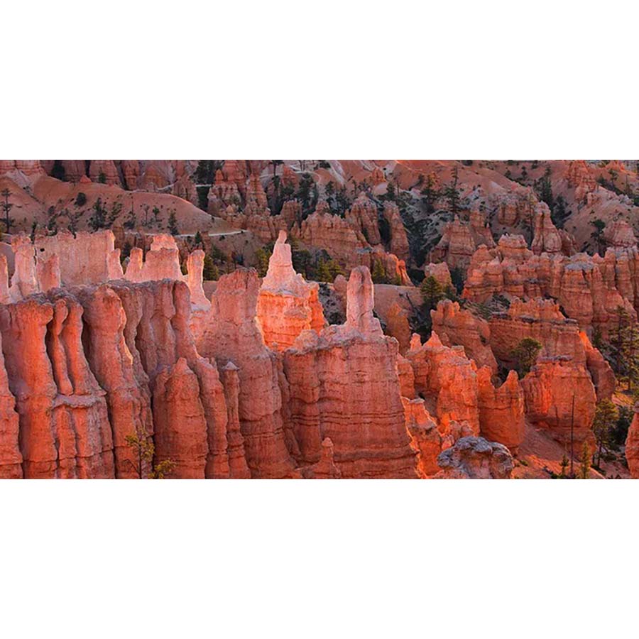 Red Canyon - High Gloss Picture Background - (60,90,120cm wide options)