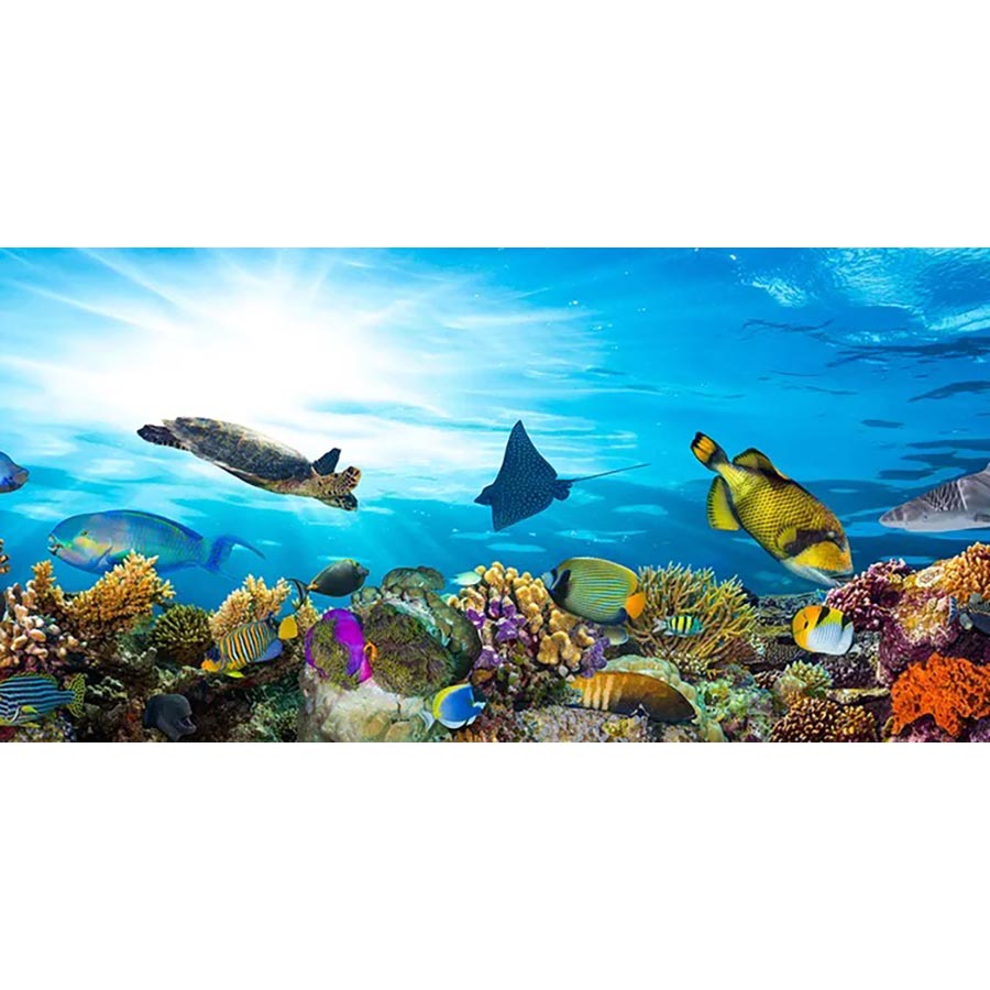 Reef - High Gloss Picture Background - (60,90,120cm wide options)