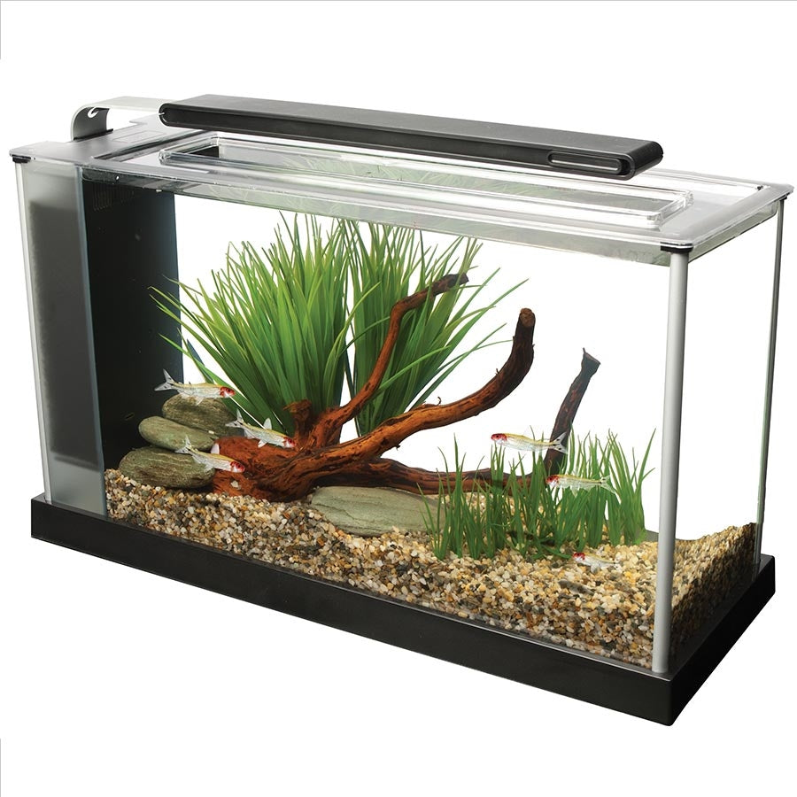 Fluval Spec V 19L Aquarium Kit