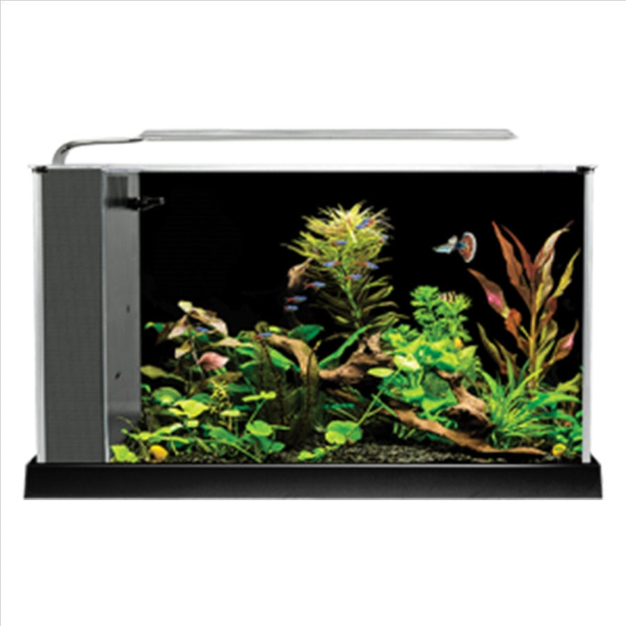 Fluval Spec V 19L Aquarium Kit