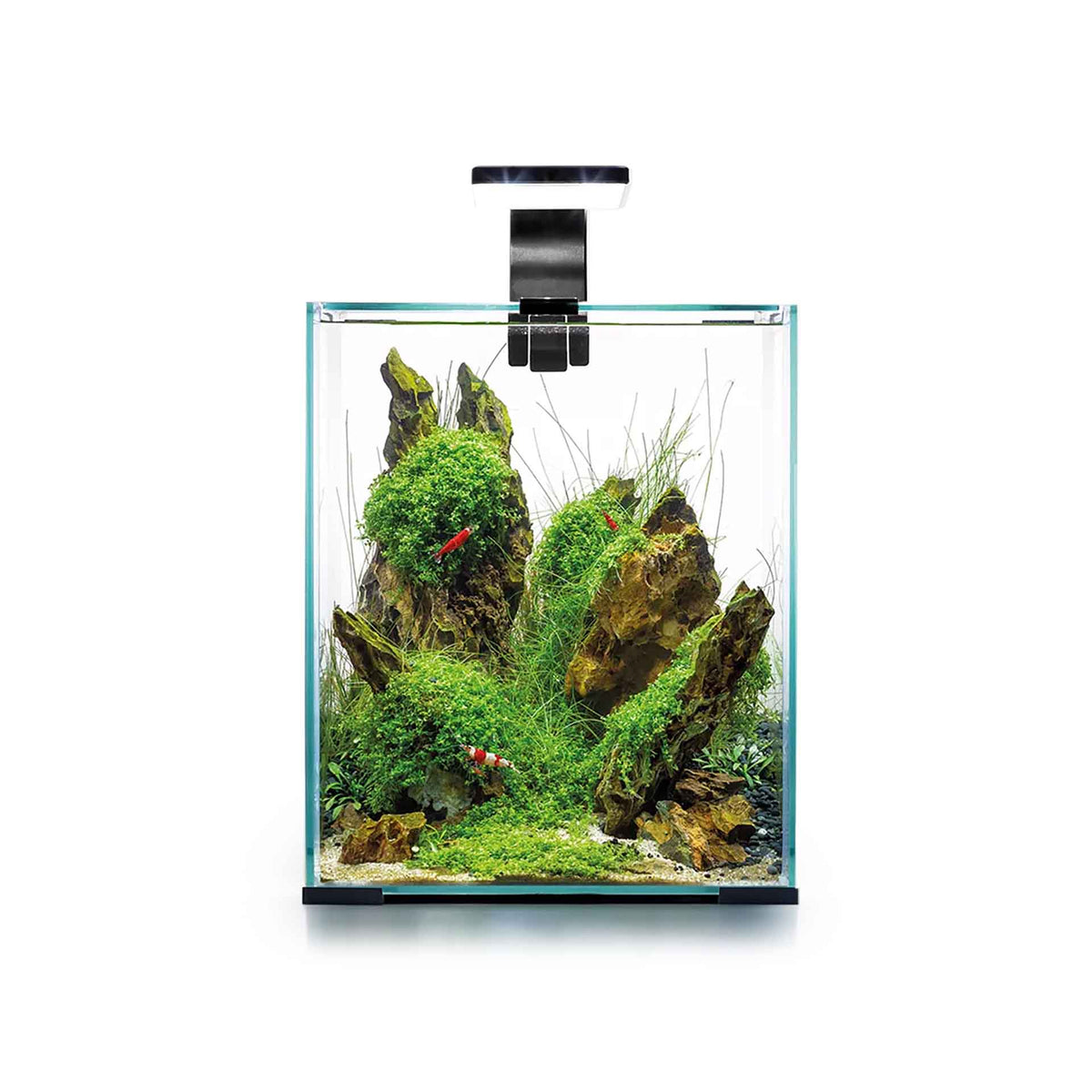 Aquael Shrimp Set Day and Night 20 - Black (19 Litres)