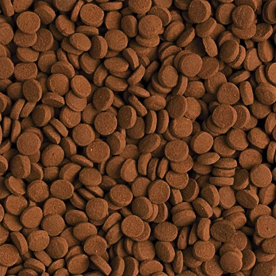 Tropical Carnivore Tablets 5mm Tablet 1000ml 600g Pellet Fish Food