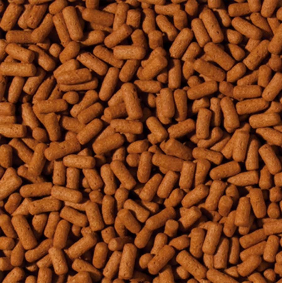 Tropical Cichlid and Arowana 250ml 75g Large Sticks Fish Food