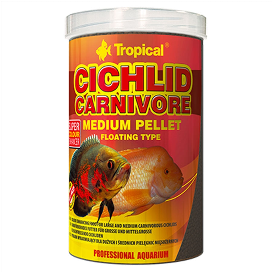 Carnivorous tropical fish hot sale