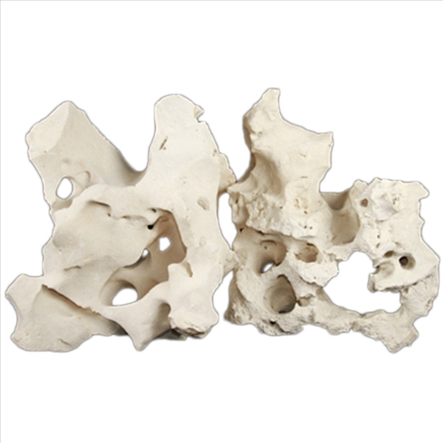 Natural Texas Holey Rock - 100g - In Store Pick Up Only